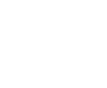 FEPREMI